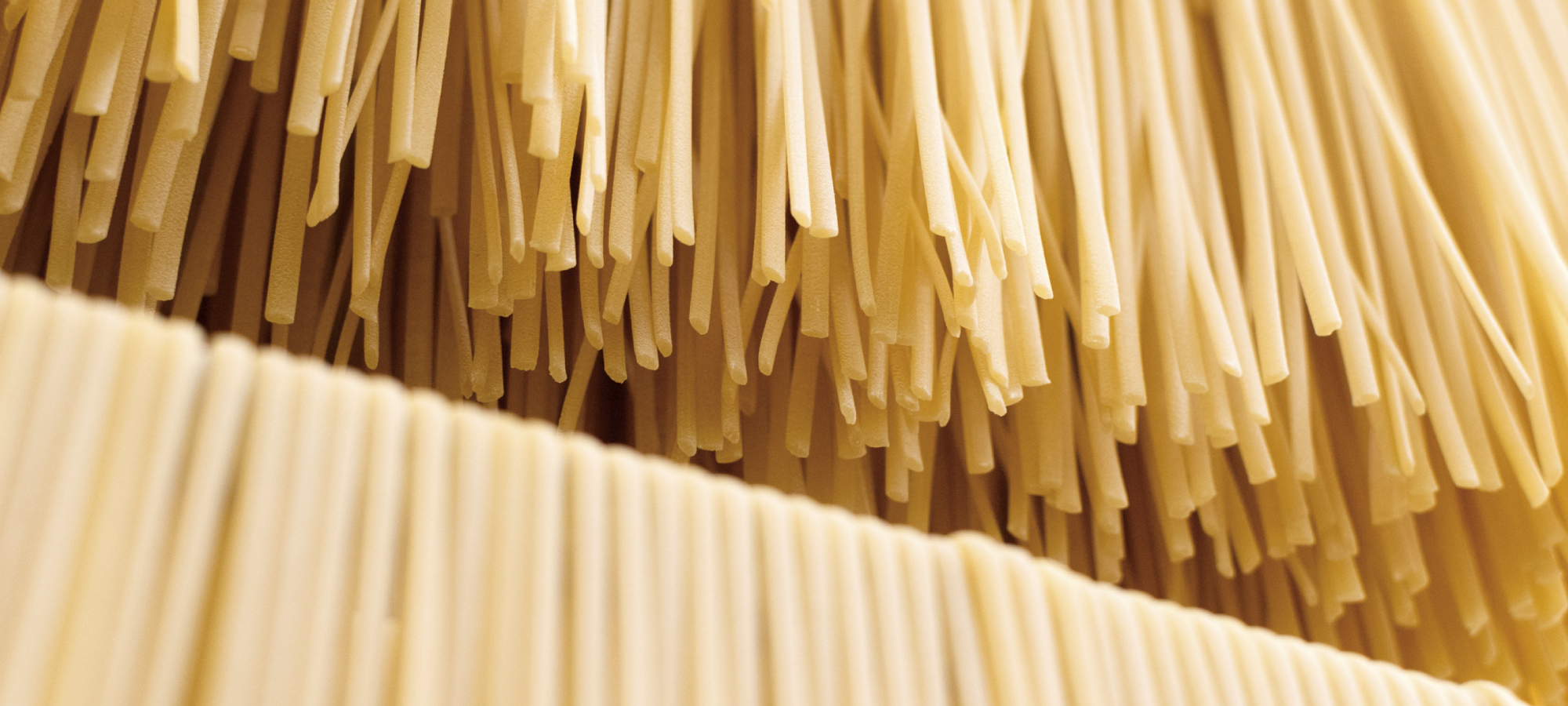 pasta trafilata al bronzo
