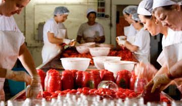 Il viaggio straordinario di un prodotto semplice: la passata di pomodoro Paolo Petrilli