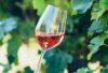 produzione del vino