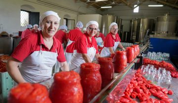 Pomodori pelati a mano: perché il sapore autentico non si industrializza