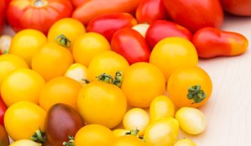 La biodiversità nel piatto: perché scegliamo solo varietà autoctone